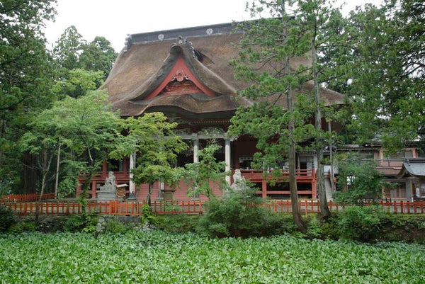 【岩手県内発】 加茂水族館・羽黒山三神合祭殿と旬の味覚岩ガキ『牡蠣御膳』 2日間3